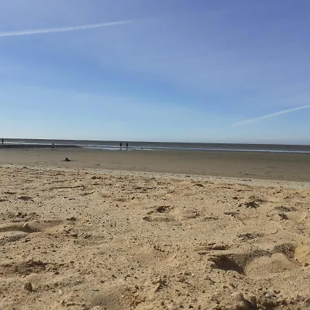 Appartement Herzmuschel